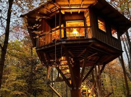 The Magical Treehouse